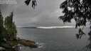 ./images/koeye/fitz-hugh/20250624/fitz-hugh20250624_190007M.jpg