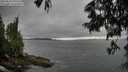 ./images/koeye/fitz-hugh/20250624/fitz-hugh20250624_190509M.jpg