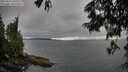 ./images/koeye/fitz-hugh/20250624/fitz-hugh20250624_191009M.jpg