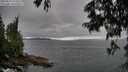 ./images/koeye/fitz-hugh/20250624/fitz-hugh20250624_191509M.jpg