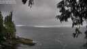 ./images/koeye/fitz-hugh/20250624/fitz-hugh20250624_192508M.jpg