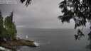 ./images/koeye/fitz-hugh/20250624/fitz-hugh20250624_193509M.jpg