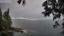 ./images/koeye/fitz-hugh/20250624/fitz-hugh20250624_204009M.jpg