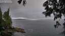 ./images/koeye/fitz-hugh/20250624/fitz-hugh20250624_204508M.jpg
