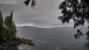 ./images/koeye/fitz-hugh/20250624/fitz-hugh20250624_205009M.jpg