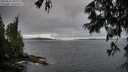./images/koeye/fitz-hugh/20250624/fitz-hugh20250624_210009M.jpg