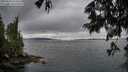 ./images/koeye/fitz-hugh/20250624/fitz-hugh20250624_213507M.jpg