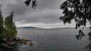 ./images/koeye/fitz-hugh/20250624/fitz-hugh20250624_214009M.jpg