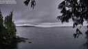 ./images/koeye/fitz-hugh/20250624/fitz-hugh20250624_220508M.jpg