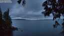 ./images/koeye/fitz-hugh/20250624/fitz-hugh20250624_222508M.jpg