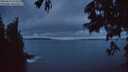 ./images/koeye/fitz-hugh/20250624/fitz-hugh20250624_223506M.jpg