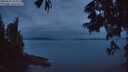 ./images/koeye/fitz-hugh/20250625/fitz-hugh20250625_043010M.jpg