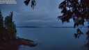 ./images/koeye/fitz-hugh/20250625/fitz-hugh20250625_043509M.jpg