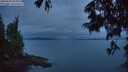 ./images/koeye/fitz-hugh/20250625/fitz-hugh20250625_044009M.jpg