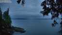 ./images/koeye/fitz-hugh/20250625/fitz-hugh20250625_044509M.jpg