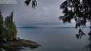 ./images/koeye/fitz-hugh/20250625/fitz-hugh20250625_050509M.jpg