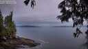 ./images/koeye/fitz-hugh/20250625/fitz-hugh20250625_051009M.jpg