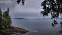./images/koeye/fitz-hugh/20250625/fitz-hugh20250625_051509M.jpg