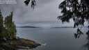 ./images/koeye/fitz-hugh/20250625/fitz-hugh20250625_052008M.jpg