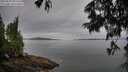 ./images/koeye/fitz-hugh/20250625/fitz-hugh20250625_055509M.jpg