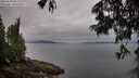 ./images/koeye/fitz-hugh/20250625/fitz-hugh20250625_062510M.jpg