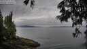 ./images/koeye/fitz-hugh/20250625/fitz-hugh20250625_064510M.jpg