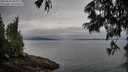 ./images/koeye/fitz-hugh/20250625/fitz-hugh20250625_070009M.jpg