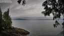 ./images/koeye/fitz-hugh/20250625/fitz-hugh20250625_071011M.jpg