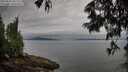 ./images/koeye/fitz-hugh/20250625/fitz-hugh20250625_071510M.jpg