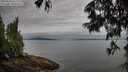 ./images/koeye/fitz-hugh/20250625/fitz-hugh20250625_072010M.jpg