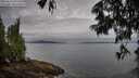 ./images/koeye/fitz-hugh/20250625/fitz-hugh20250625_072511M.jpg