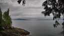 ./images/koeye/fitz-hugh/20250625/fitz-hugh20250625_073010M.jpg