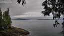 ./images/koeye/fitz-hugh/20250625/fitz-hugh20250625_073510M.jpg