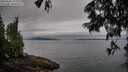 ./images/koeye/fitz-hugh/20250625/fitz-hugh20250625_074011M.jpg