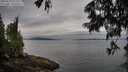 ./images/koeye/fitz-hugh/20250625/fitz-hugh20250625_075510M.jpg