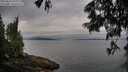 ./images/koeye/fitz-hugh/20250625/fitz-hugh20250625_080012M.jpg