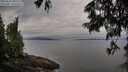 ./images/koeye/fitz-hugh/20250625/fitz-hugh20250625_080510M.jpg