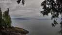./images/koeye/fitz-hugh/20250625/fitz-hugh20250625_081010M.jpg