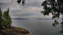 ./images/koeye/fitz-hugh/20250625/fitz-hugh20250625_082510M.jpg