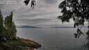 ./images/koeye/fitz-hugh/20250625/fitz-hugh20250625_083012M.jpg