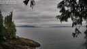 ./images/koeye/fitz-hugh/20250625/fitz-hugh20250625_083511M.jpg