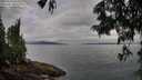 ./images/koeye/fitz-hugh/20250625/fitz-hugh20250625_090012M.jpg
