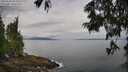 ./images/koeye/fitz-hugh/20250625/fitz-hugh20250625_093508M.jpg