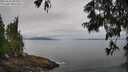 ./images/koeye/fitz-hugh/20250625/fitz-hugh20250625_094011M.jpg