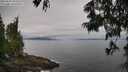 ./images/koeye/fitz-hugh/20250625/fitz-hugh20250625_094509M.jpg
