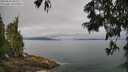 ./images/koeye/fitz-hugh/20250625/fitz-hugh20250625_095510M.jpg