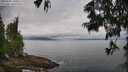 ./images/koeye/fitz-hugh/20250625/fitz-hugh20250625_100509M.jpg