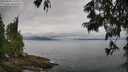 ./images/koeye/fitz-hugh/20250625/fitz-hugh20250625_101010M.jpg