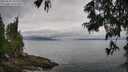 ./images/koeye/fitz-hugh/20250625/fitz-hugh20250625_101511M.jpg