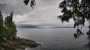 ./images/koeye/fitz-hugh/20250625/fitz-hugh20250625_102510M.jpg